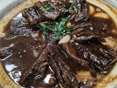 -丁老爷子苏香圆