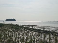 -滨海公园