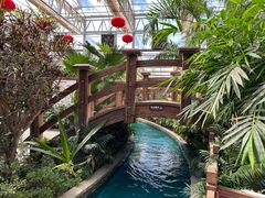 -南宫五洲植物乐园