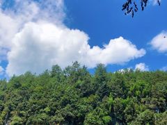 -阿依河景区