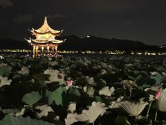 -满记甜品(湖滨店)
