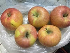 -叶氏兄弟果业(湖州龙王山路3店)