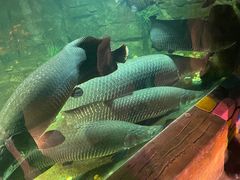 -嘉兴海底世界