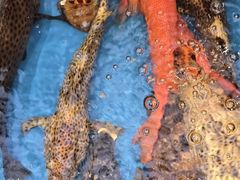 -吴记富苑(朝阳店)