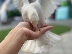 -IPARK购物中心