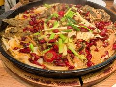 -老板恋上鱼(印象城店)