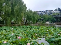 -孺子亭公园