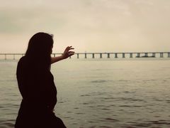 -宝安西湾红树林湿地公园