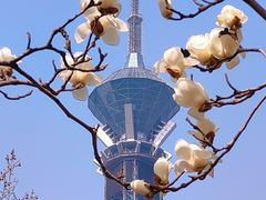-裕华世纪公园