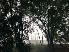 -西园戒幢律寺