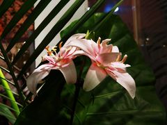 -花二家·生活馆(六运小区店)