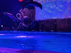 -华夏文旅海洋公园