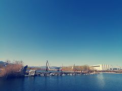 -永定河休闲森林公园