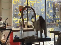 大堂-平行世界·猫咖(首经贸店)