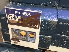 -关西国际机场直营免税店