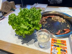 -杨记齐齐哈尔烤肉(总店)