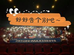 -万达影城(汉街万达广场IMAX店)