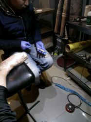 -TATTOO/手工穿孔吧/耳洞/刺青STUDIO