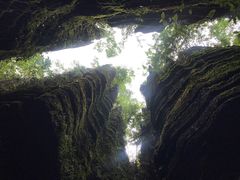 -梭布垭石林景区