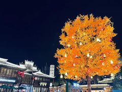 -紫阳古街
