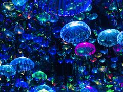 -天津梵高星空艺术馆(天河城旗舰店)