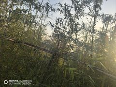 -嘉北郊野公园