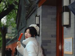 -北京国子监胡同