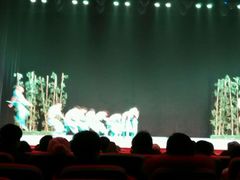 android_upload_pic-国学剧院(功夫诗·九卷)