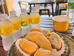 -榴莲BB 四季果园