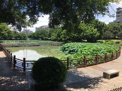 -光明港公园