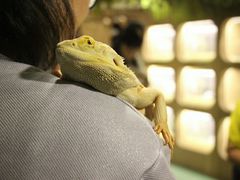 -藦茜花园宠物主题亲子互动体验馆(国顺东路店)