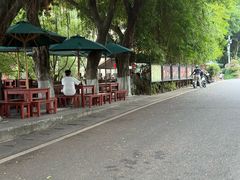 -仙岳公园