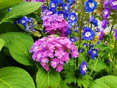 -人民公园(罗湖区)