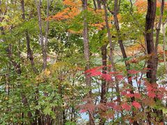 -黄椅山火山森林公园