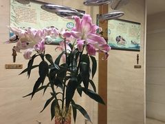-汤泉良子·沐足·颂钵疗愈·SPA(珠江新城店)