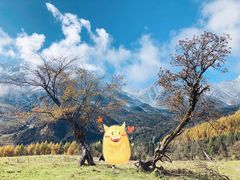 -硗碛藏寨·神木垒景区