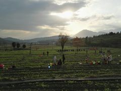 -塔川景区