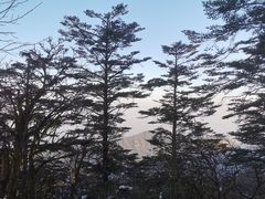 -峨眉山风景名胜区