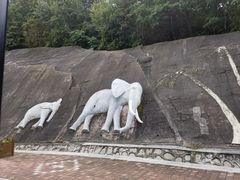 -哈尔滨北方森林动物园