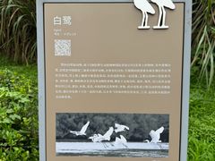 -白鹭湾湿地公园