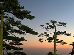 -黄山风景区