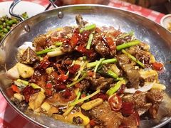 -龙师傅卤炒(天马店)