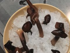 -川西坝子(老军营店)