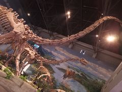 -自贡恐龙博物馆