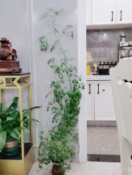 -蕾特恩专业祛痘·皮肤管理