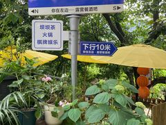 -磁器口古镇