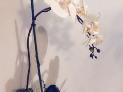 -Dragonfly悠庭·按摩Spa(浦东嘉里城店)