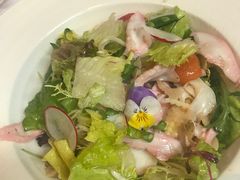 -蝶舍·MAISON PAPILLON