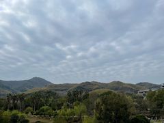 -宁波九龙湖开元度假村