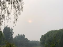 -大兴滨河森林公园